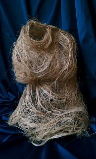 Maysaa Kassir — Rebirth of Venus Series — 2019