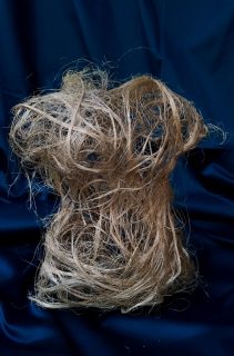Maysaa Kassir — Rebirth of Venus Series — 2019