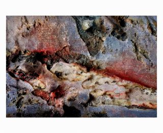Shahd Al-Rez — Landscape Wildfires — 2023