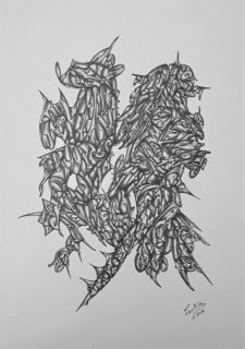 Tarek Ziad Al-Chami — Untitled — 2016