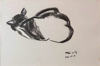 Hussein Madi — Cat — 2001