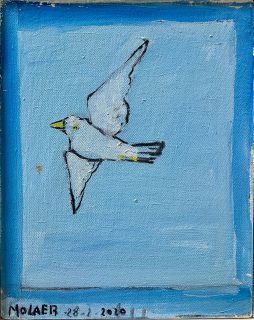 Jamil Molaeb — Bird — 2020