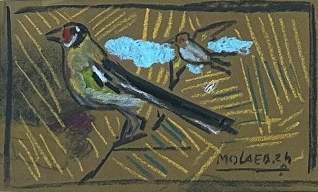 Jamil Molaeb — Bird