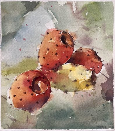 Soukayna Hawila — Prickly Pears