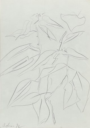 Etel Adnan — Still Life, Untitled