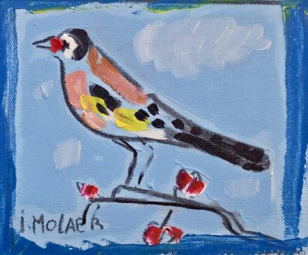 Jamil Molaeb — Bird