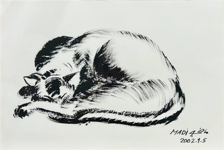 Hussein Madi — Sleeping Cat — 2002