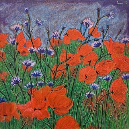 James Dekermenjian — Coquelicot
