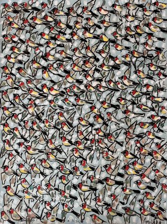 Jamil Molaeb — Birds