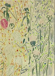 Aref El Rayess — Wild Flowers