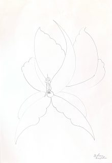 Juliana Séraphim — Butterfly