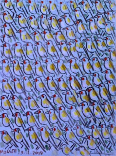 Jamil Molaeb — Birds