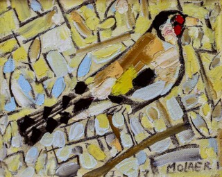 Jamil Molaeb — Bird