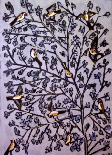 Jamil Molaeb — Birds
