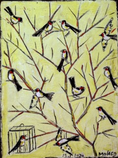 Jamil Molaeb — Birds