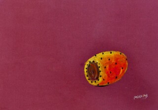 Jamil Molaeb — Cactus