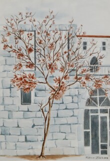 Fadwa Zebib — Untitled