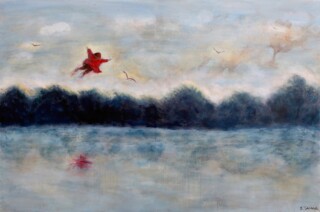 Samir Tamari — Flying Guy