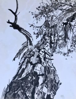 Nada Matta — Magic Forest — 2023