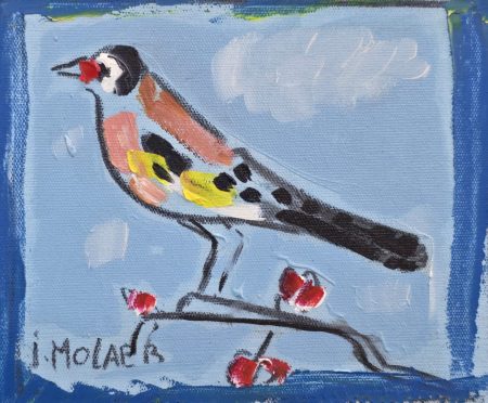 Jamil Molaeb — Bird