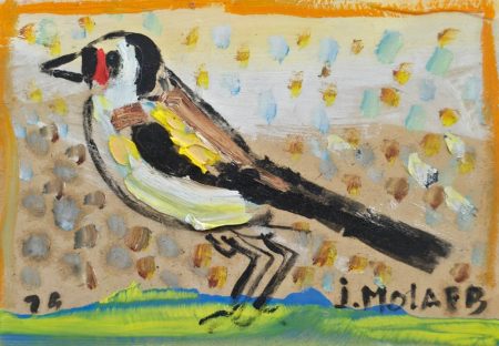 Jamil Molaeb — Bird