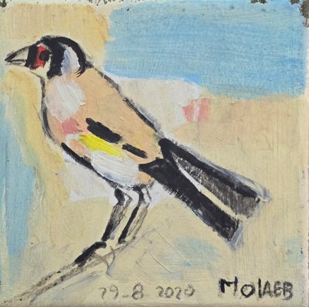 Jamil Molaeb — Bird