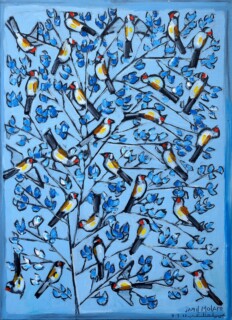 Jamil Molaeb — Birds