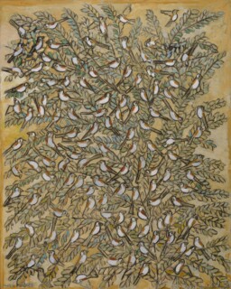 Jamil Molaeb — Birds on olive tree